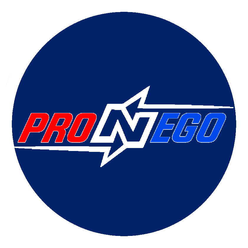Изображение логотипа проекта ProNEGO